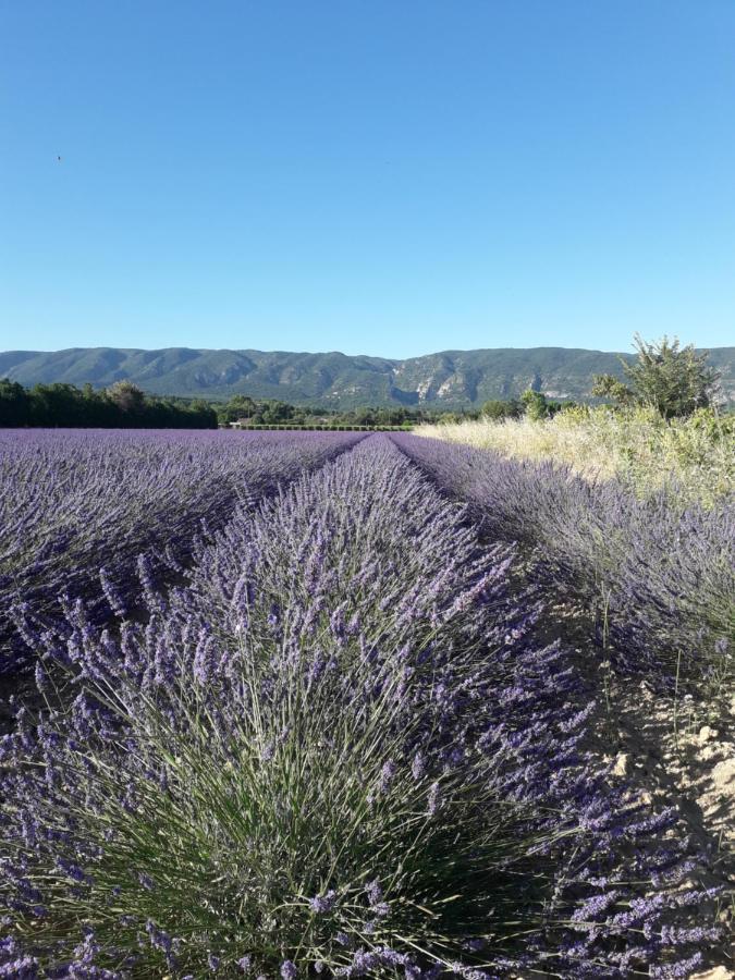 Gite Le Bagnol Un Coin De Paradis Maubec  Экстерьер фото