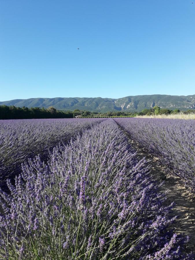 Gite Le Bagnol Un Coin De Paradis Maubec  Экстерьер фото