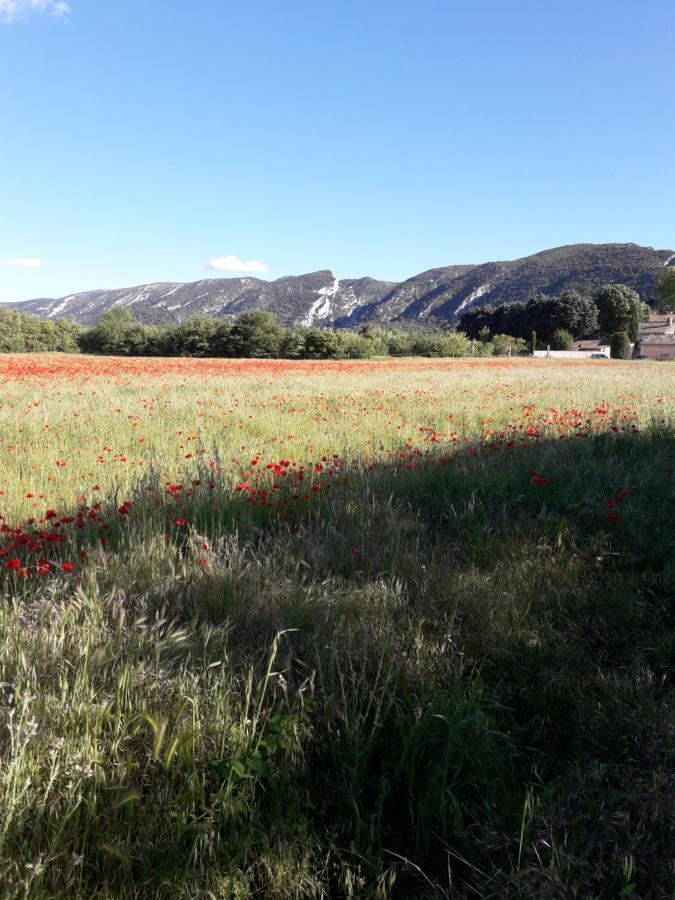 Gite Le Bagnol Un Coin De Paradis Maubec  Экстерьер фото