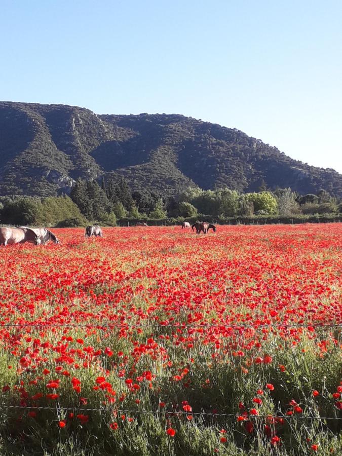 Gite Le Bagnol Un Coin De Paradis Maubec  Экстерьер фото