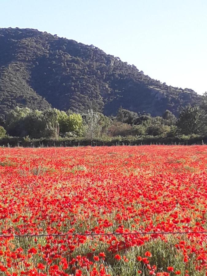 Gite Le Bagnol Un Coin De Paradis Maubec  Экстерьер фото