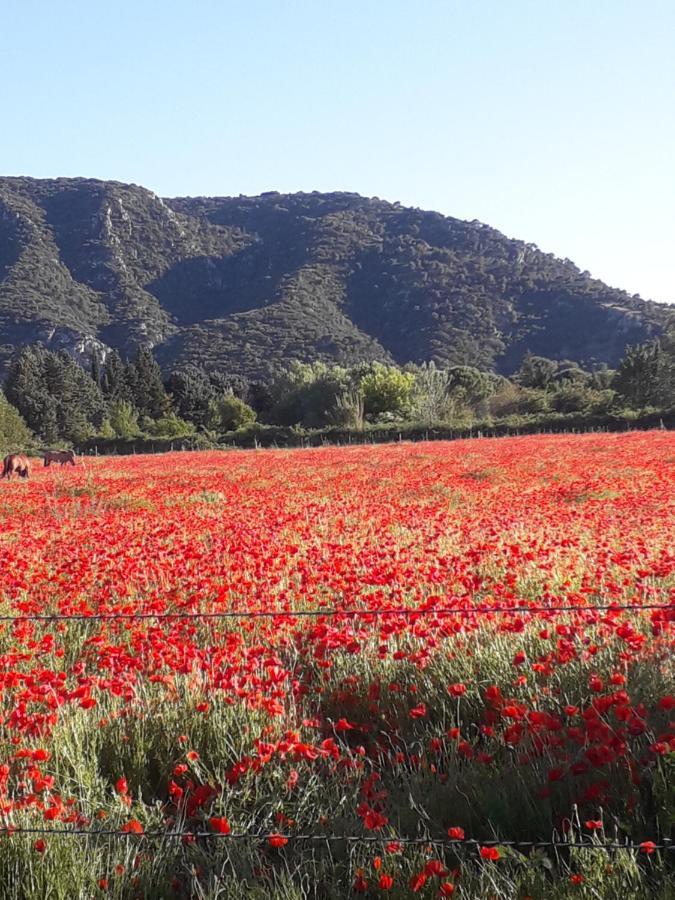 Gite Le Bagnol Un Coin De Paradis Maubec  Экстерьер фото